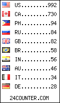 visitors by country counter