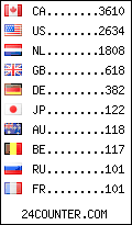 visitors by country counter