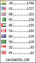 visitors by country counter