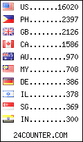 visitors by country counter