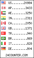 visitors by country counter