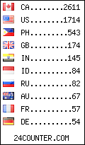 visitors by country counter