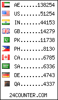 visitors by country counter