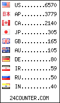 visitors by country counter