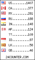 visitors by country counter