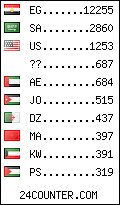 visitors by country counter