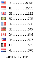 visitors by country counter