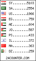 visitors by country counter