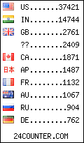 visitors by country counter