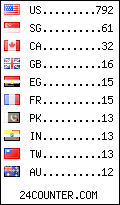 visitors by country counter