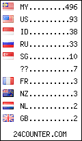 visitors by country counter