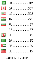 visitors by country counter