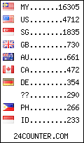 visitors by country counter