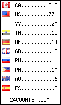 visitors by country counter