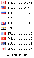 visitors by country counter