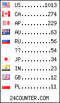 visitors by country counter