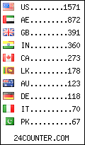 visitors by country counter