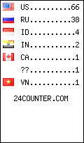 visitors by country counter