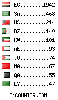 visitors by country counter