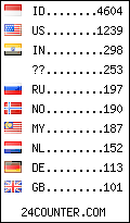 visitors by country counter