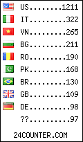 visitors by country counter