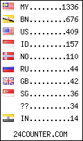 visitors by country counter