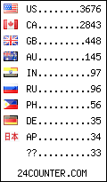 visitors by country counter