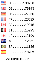 visitors by country counter