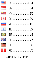 visitors by country counter