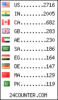 visitors by country counter