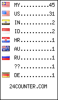 visitors by country counter
