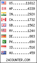 visitors by country counter