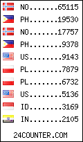 visitors by country counter