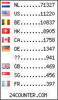 visitors by country counter