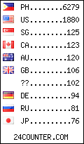 visitors by country counter