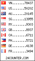 visitors by country counter