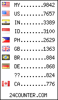 visitors by country counter
