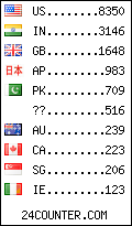 visitors by country counter