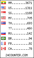visitors by country counter