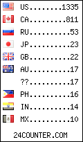 visitors by country counter