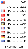 visitors by country counter