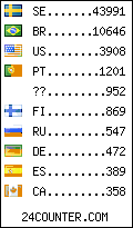 visitors by country counter