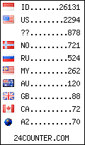 visitors by country counter