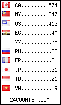 visitors by country counter