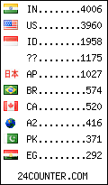 visitors by country counter