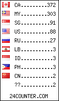 visitors by country counter