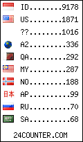 visitors by country counter