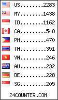visitors by country counter