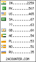 visitors by country counter