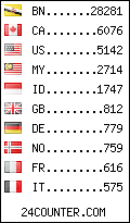 visitors by country counter